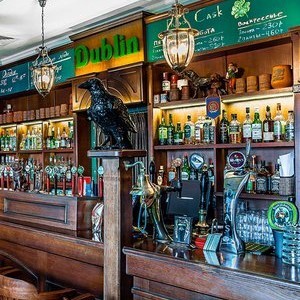 DUBLIN НА НАУКИ