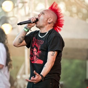 The Exploited